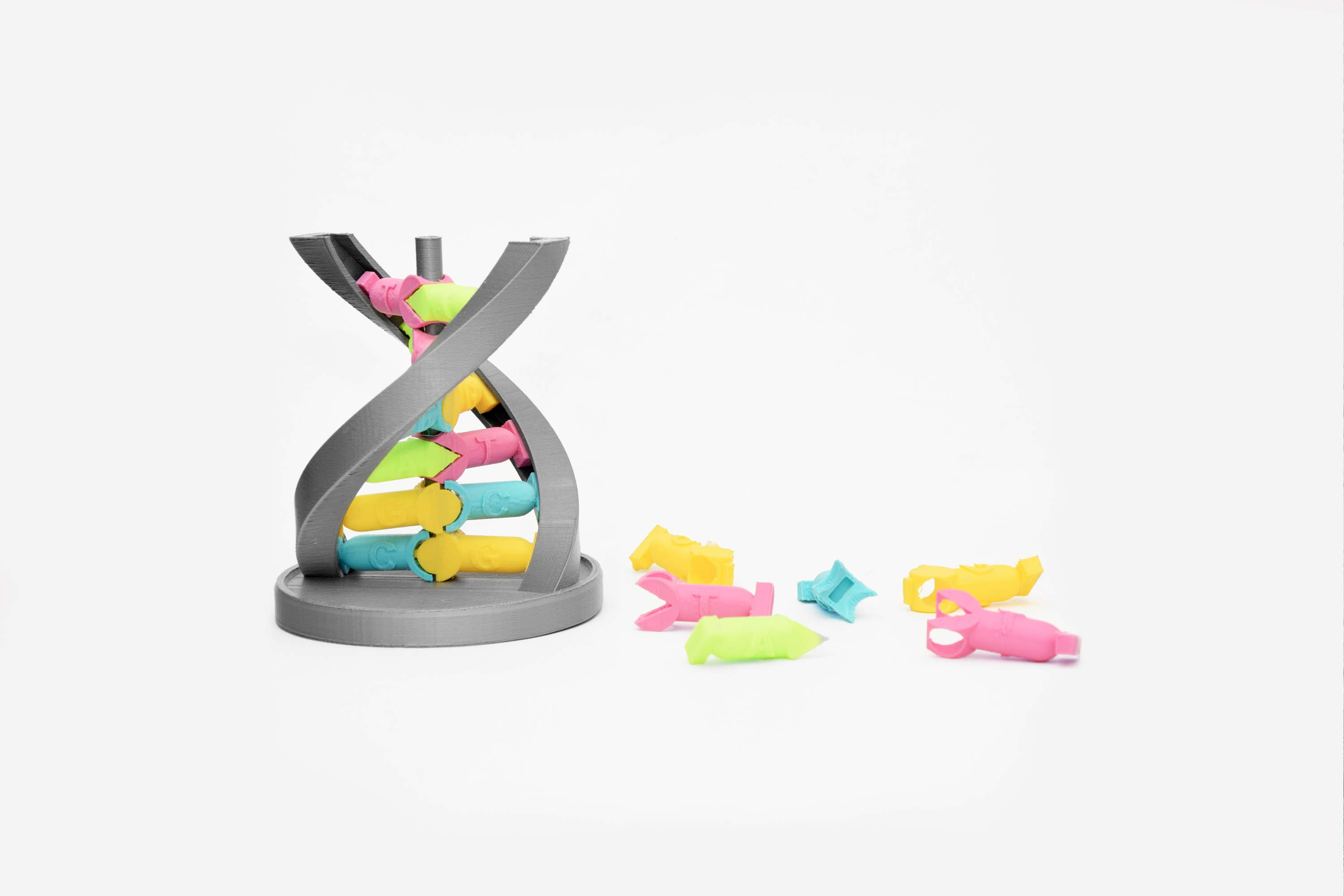 Educational DNA Model, design by Matthijs Kok | Cubify, 2014