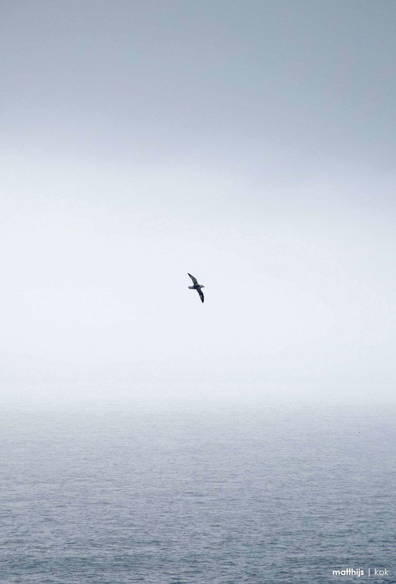 Atlantic Ocean, Faroe Islands | Photo by Matthijs Kok